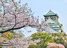 【新浪彩票】足彩25055期盈亏指数:拉齐奥客战防平,竞彩投注需谨慎!